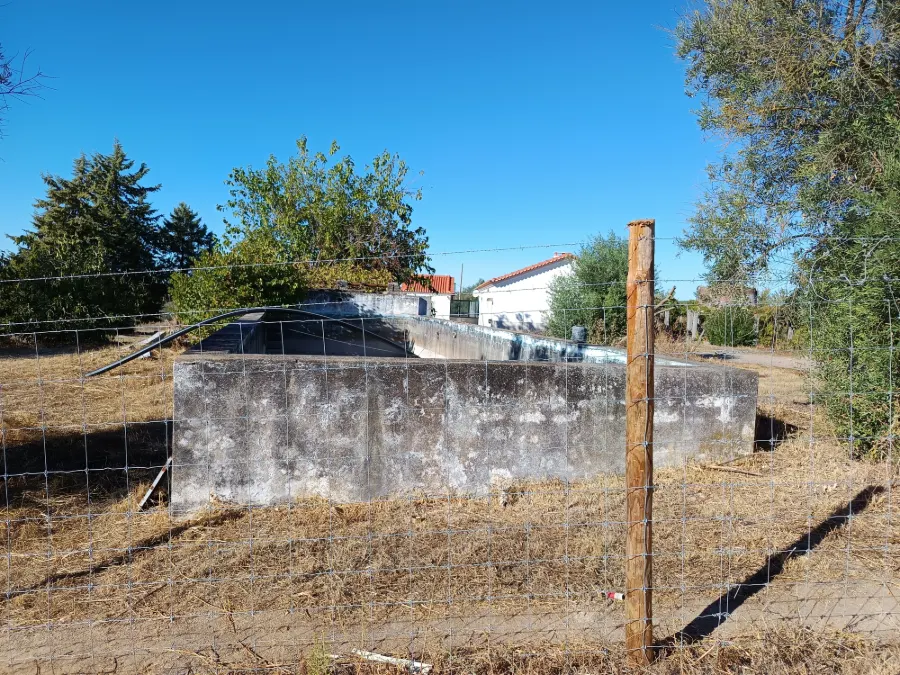 Herdade com olival intensivo 3