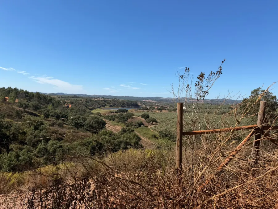 Herdade com olival e lagar 3